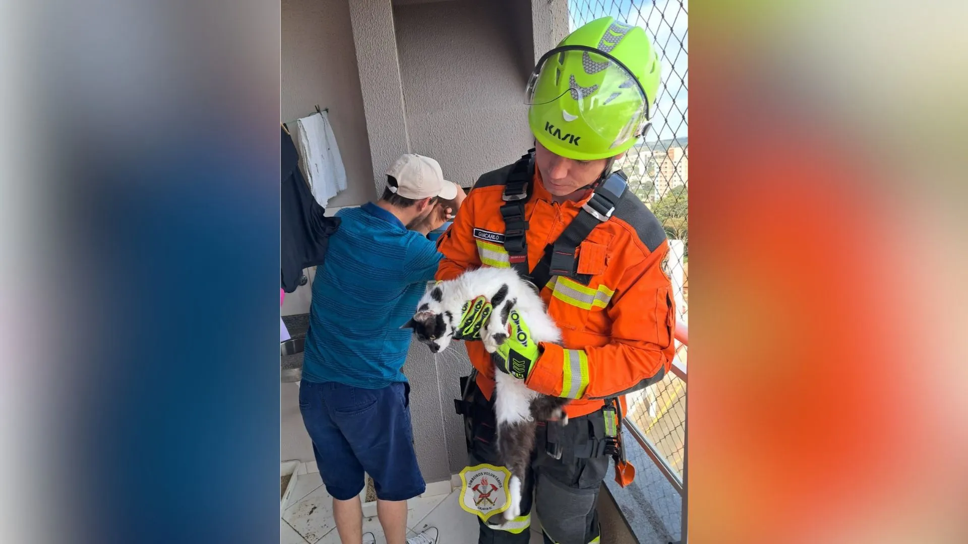 Gato é resgatado de chaminé por bombeiros em Caçador