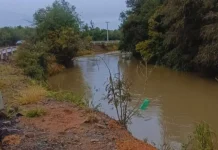 Corpo em decomposição é encontrado em rio no Planalto Norte catarinense Corpo em decomposição é encontrado em rio no Planalto Norte catarinense