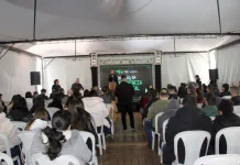 Imersão em Inteligência Artificial conecta público às novas tecnologias Imersão em Inteligência Artificial conecta público às novas tecnologias
