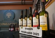 Vinícola Longa Vida coloca Pinheiro Preto em destaque no Brasil Vinícola Longa Vida coloca Pinheiro Preto em destaque no Brasil