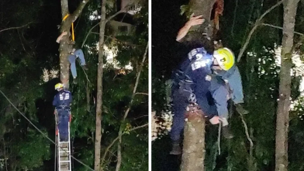 Homem é resgatado a 15 metros de altura após acidente durante corte de árvore