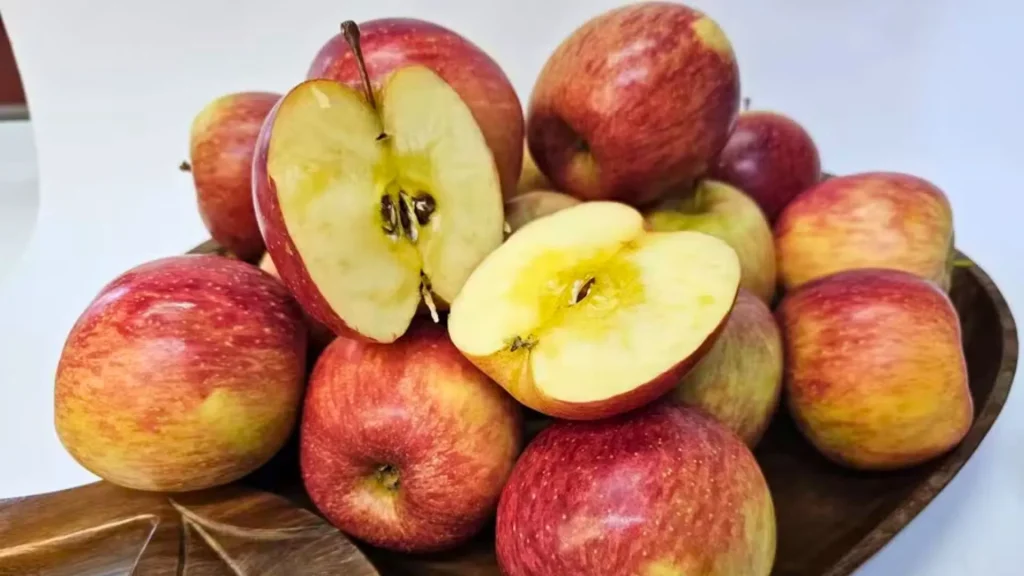 Safra de maçã Fuji no Brasil registra fenômeno “pingo de mel” e surpreende com frutas mais doces