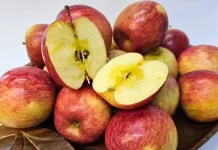 Safra de maçã Fuji no Brasil registra fenômeno “pingo de mel” e surpreende com frutas mais doces Safra de maçã Fuji no Brasil registra fenômeno “pingo de mel” e surpreende com frutas mais doces