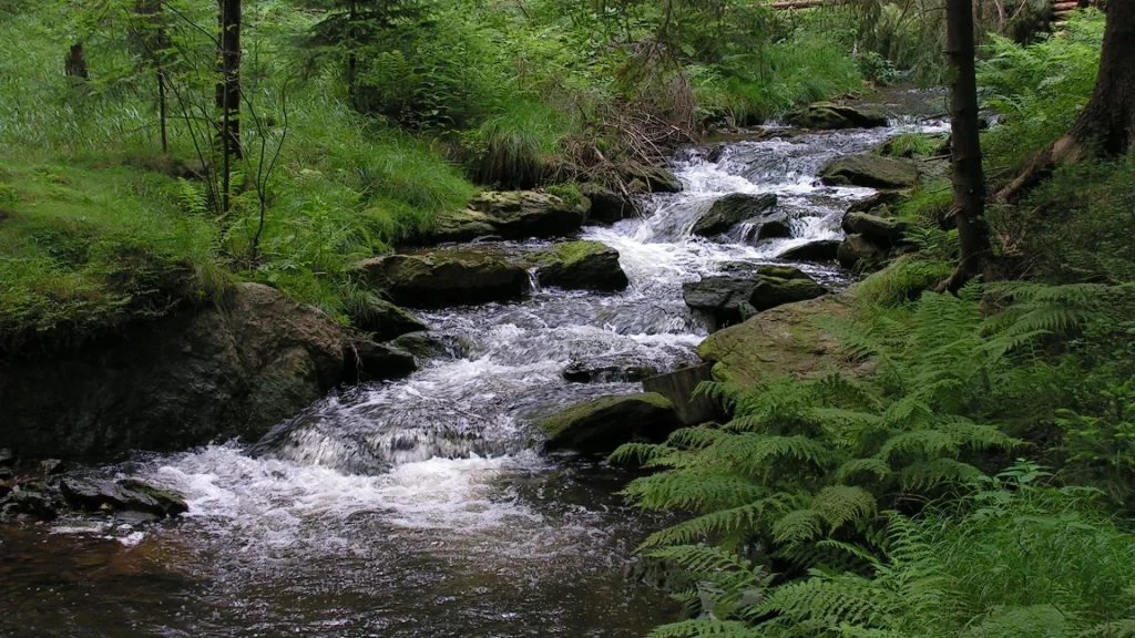 Futuro da água na Bacia do Rio do Peixe será debatido em oficina aberta à comunidade