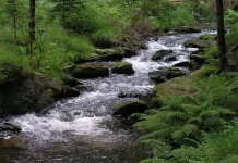 Futuro da água na Bacia do Rio do Peixe será debatido em oficina aberta à comunidade Futuro da água na Bacia do Rio do Peixe será debatido em oficina aberta à comunidade