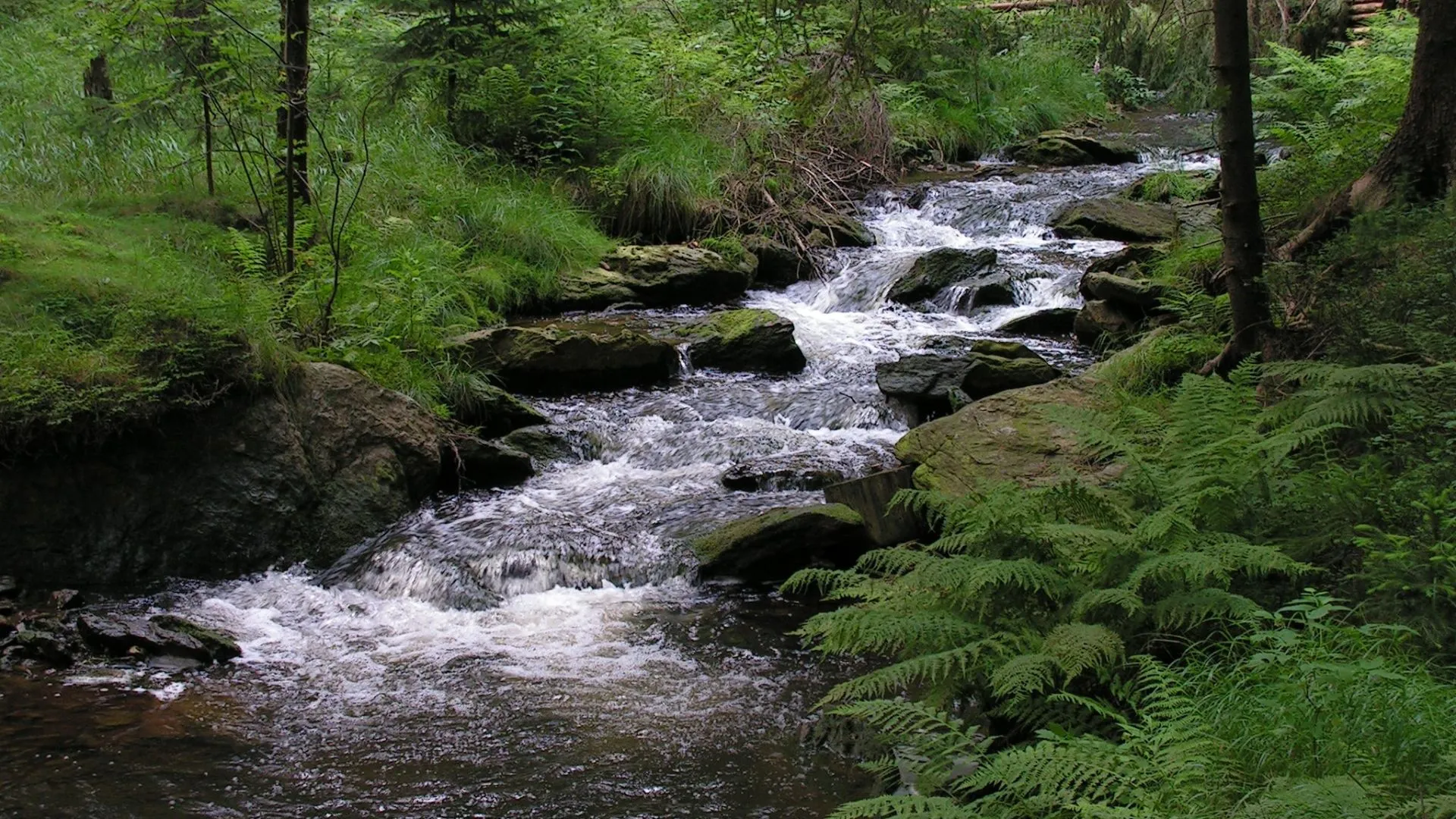 Futuro da água na Bacia do Rio do Peixe será debatido em oficina aberta à comunidade