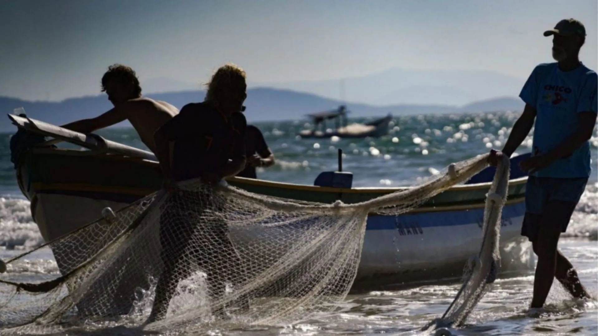 Governo recua e libera pesca da tainha no litoral catarinense