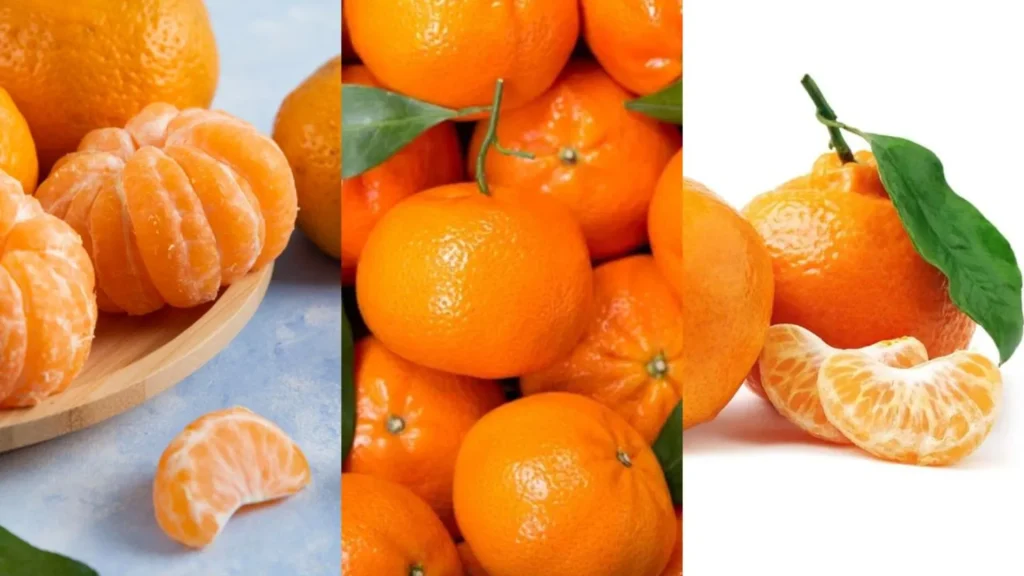 Bergamota, mexerica ou tangerina? Entenda por que a mesma fruta recebe nomes diferentes no Brasil
