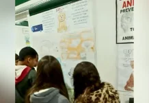 Projeto do CAIC une educação e proteção animal em Videira Projeto do CAIC une educação e proteção animal em Videira