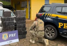Motorista de aplicativo é preso com quase 300 quilos de maconha na BR-282 Motorista de aplicativo é preso com quase 300 quilos de maconha na BR-282