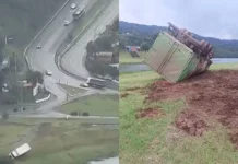 Motorista joga caminhão para fora da pista após pane nos freios e evita tragédia em SC Motorista joga caminhão para fora da pista após pane nos freios e evita tragédia em SC