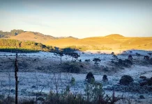 Santa Catarina registra -7,3°C e tem a manhã mais gelada de 2026 Santa Catarina registra -7,3°C e tem a manhã mais gelada de 2026