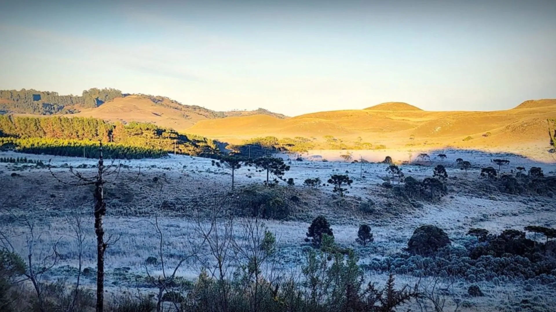 Santa Catarina registra -7,3°C e tem a manhã mais gelada de 2026