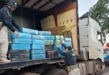 Caminhoneiro de Herval d’Oeste é preso com quase 2 toneladas de maconha Caminhoneiro de Herval d’Oeste é preso com quase 2 toneladas de maconha