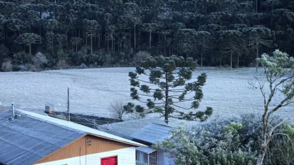 Santa Catarina registra impressionantes -9,1°C na madrugada desta quarta-feira