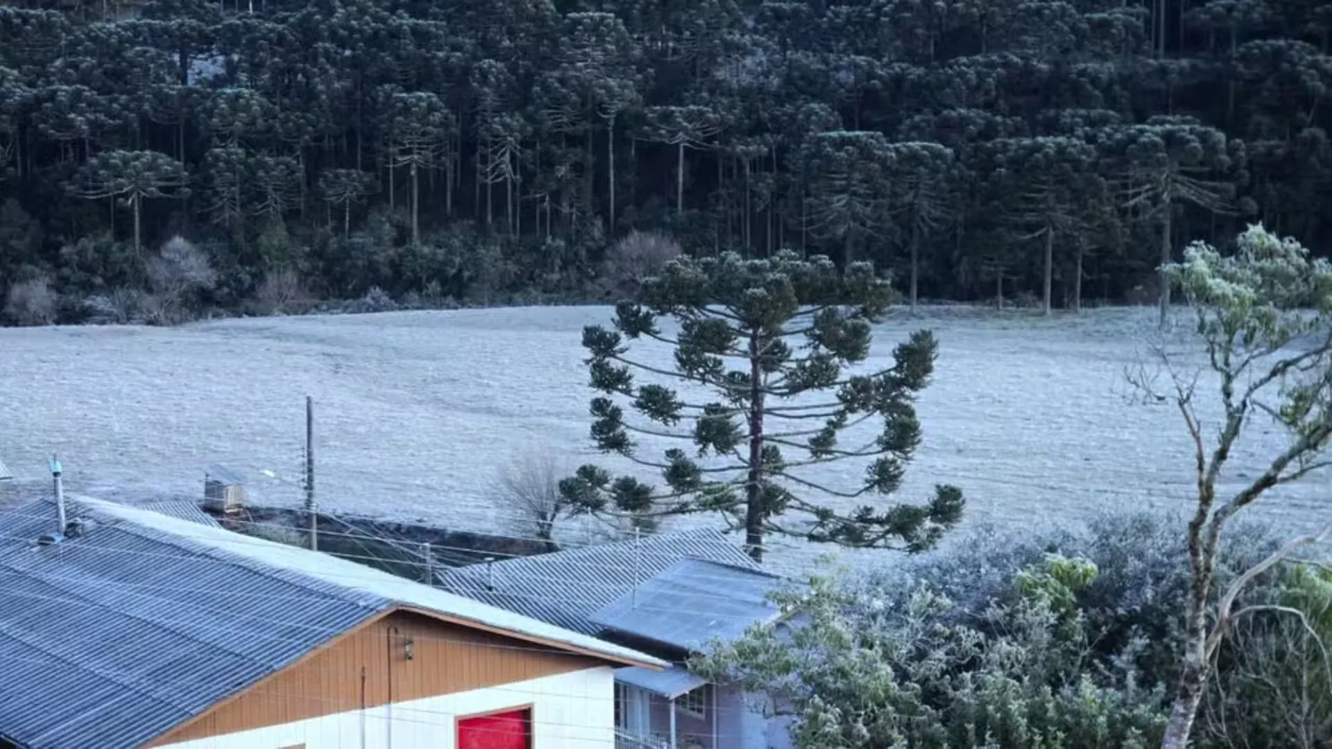 Santa Catarina registra impressionantes -9,1°C na madrugada desta quarta-feira
