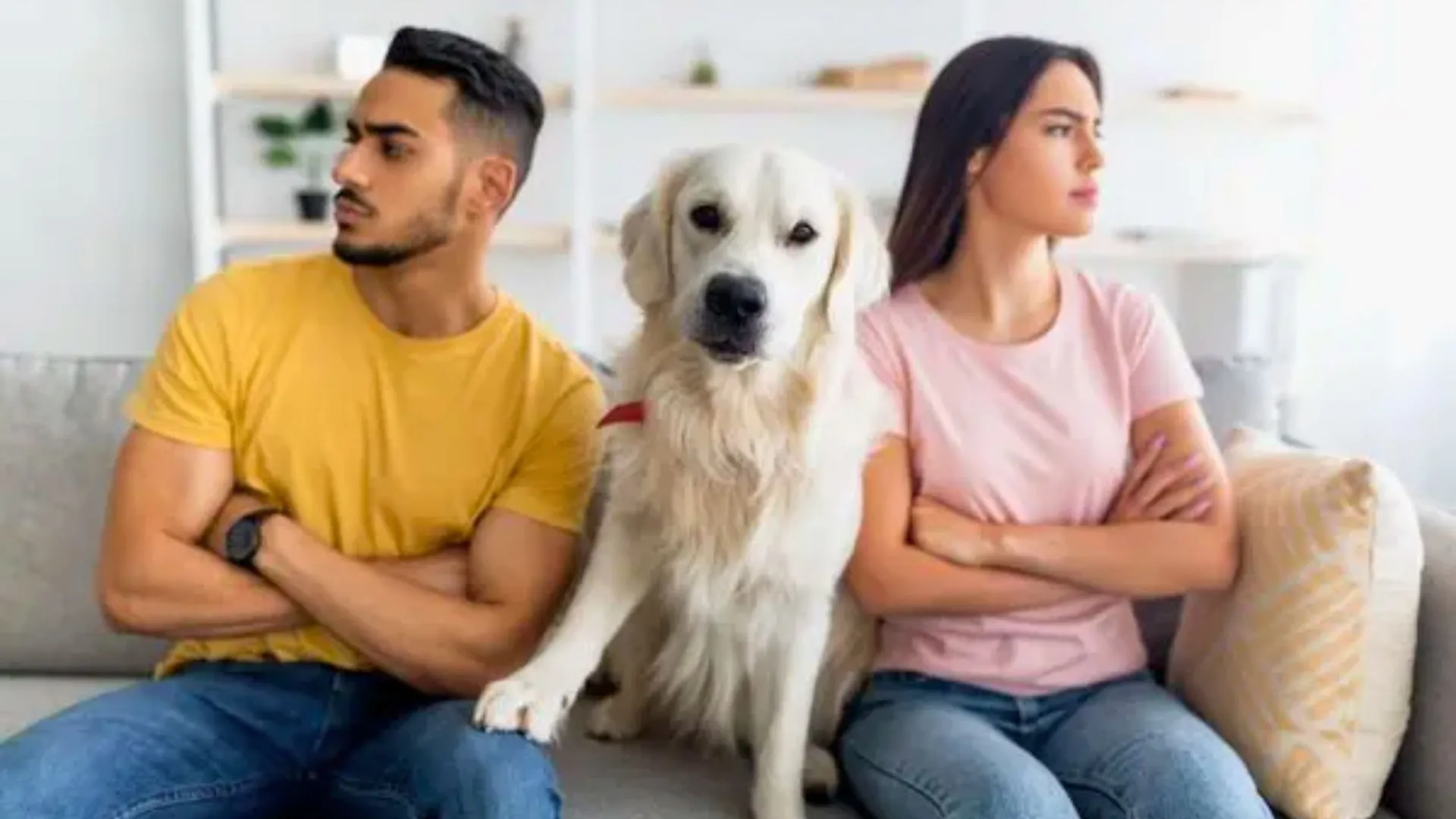 Justiça nega pedido de pensão para pets após separação