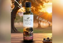 Azeite produzido no Meio-Oeste catarinense conquista ouro em concurso internacional na Itália Azeite produzido no Meio-Oeste catarinense conquista ouro em concurso internacional na Itália