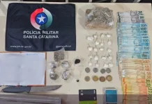 Mais de meio quilo de drogas é apreendido durante operação policial no interior de Videira Mais de meio quilo de drogas é apreendido durante operação policial no interior de Videira