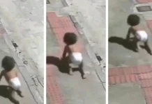 Bebê é salva após engatinhar sozinha em avenida durante a madrugada Bebê é salva após engatinhar sozinha em avenida durante a madrugada