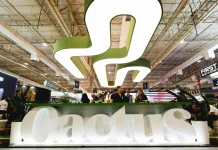Cactus Gaming busca fortalecer operação e aprimorar processos para elevar nível de entrega Cactus Gaming busca fortalecer operação e aprimorar processos para elevar nível de entrega