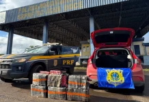 Droga interceptada em Água Doce teria como destino Caçador Droga interceptada em Água Doce teria como destino Caçador