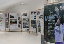 Fundação Uniarp celebra 55 anos com programação especial até novembro Fundação Uniarp celebra 55 anos com programação especial até novembro