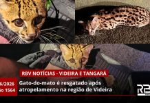 RBV Notícias Videira e Tangará – 03/06/2026 – Edição 1564 RBV Notícias Videira e Tangará – 03/06/2026 – Edição 1564