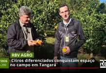 RBV Agro – 14/06/2026 – Edição 299 RBV Agro – 14/06/2026 – Edição 299