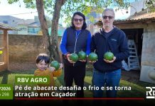 RBV Agro – 13/06/2026 – Edição 298 RBV Agro – 13/06/2026 – Edição 298