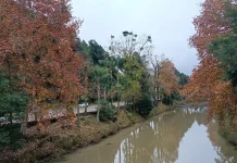 Clima permanece como nos dias anteriores em Santa Catarina Clima permanece como nos dias anteriores em Santa Catarina
