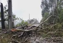 Santa Catarina tem seis cidades em situação de emergência após temporais Santa Catarina tem seis cidades em situação de emergência após temporais