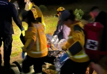 Idoso é resgatado após desaparecer enquanto catava pinhão Idoso é resgatado após desaparecer enquanto catava pinhão