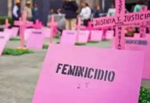 Mais da metade dos feminicídios em Santa Catarina ocorreu nos fins de semana em 2026 Mais da metade dos feminicídios em Santa Catarina ocorreu nos fins de semana em 2026
