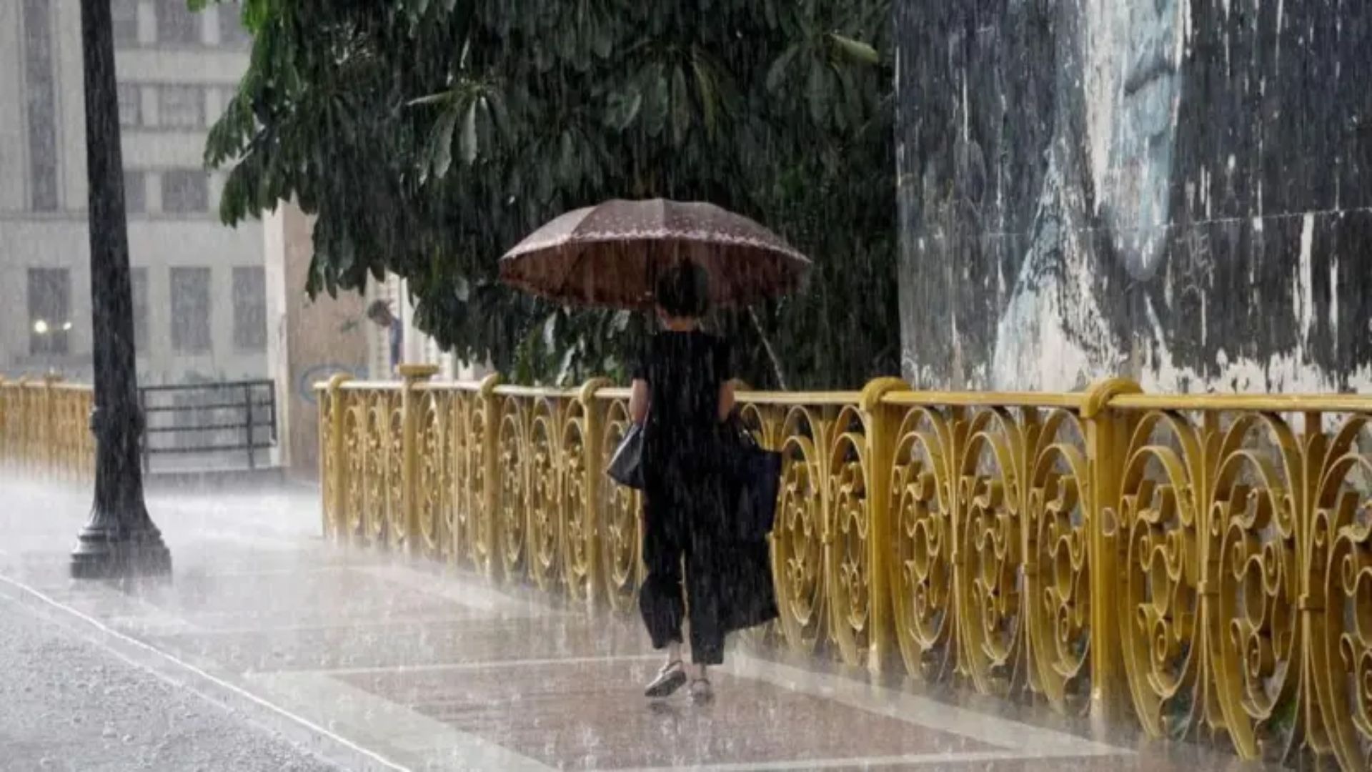 Defesa Civil alerta para risco de chuva de até 300 mm nos próximos dias em Santa Catarina