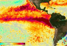 El Niño ganha força e pode se tornar um dos mais intensos da história, alerta NOAA El Niño ganha força e pode se tornar um dos mais intensos da história, alerta NOAA