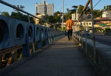 Documentário “Quem Conta Videira” estreia com entrada gratuita Documentário “Quem Conta Videira” estreia com entrada gratuita