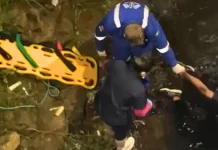 Homem fica ferido após cair de ponte de cerca de 4 metros Homem fica ferido após cair de ponte de cerca de 4 metros