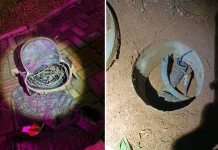 Furto de quase 500 metros de fios compromete iluminação no Parque Linear Furto de quase 500 metros de fios compromete iluminação no Parque Linear