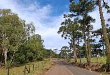 Quinta-feira será de tempo firme e temperaturas amenas em SC Quinta-feira será de tempo firme e temperaturas amenas em SC