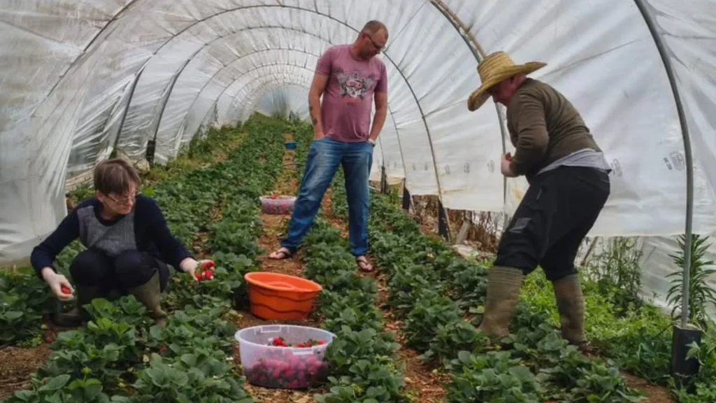 Agricultores de Caçador receberão títulos definitivos da terra