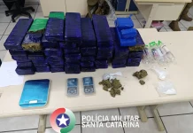Polícia Militar apreende cerca de 30 kg de maconha em Videira Polícia Militar apreende cerca de 30 kg de maconha em Videira