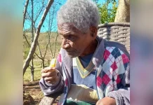 Morre em Campos Novos homem que teria vivido 110 anos Morre em Campos Novos homem que teria vivido 110 anos