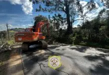 Árvore cai sobre rede elétrica, provoca incêndio e bloqueia rodovia Árvore cai sobre rede elétrica, provoca incêndio e bloqueia rodovia