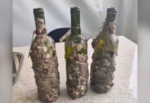 Epagri de Videira realiza degustação técnica de vinhos envelhecidos no fundo do mar Epagri de Videira realiza degustação técnica de vinhos envelhecidos no fundo do mar