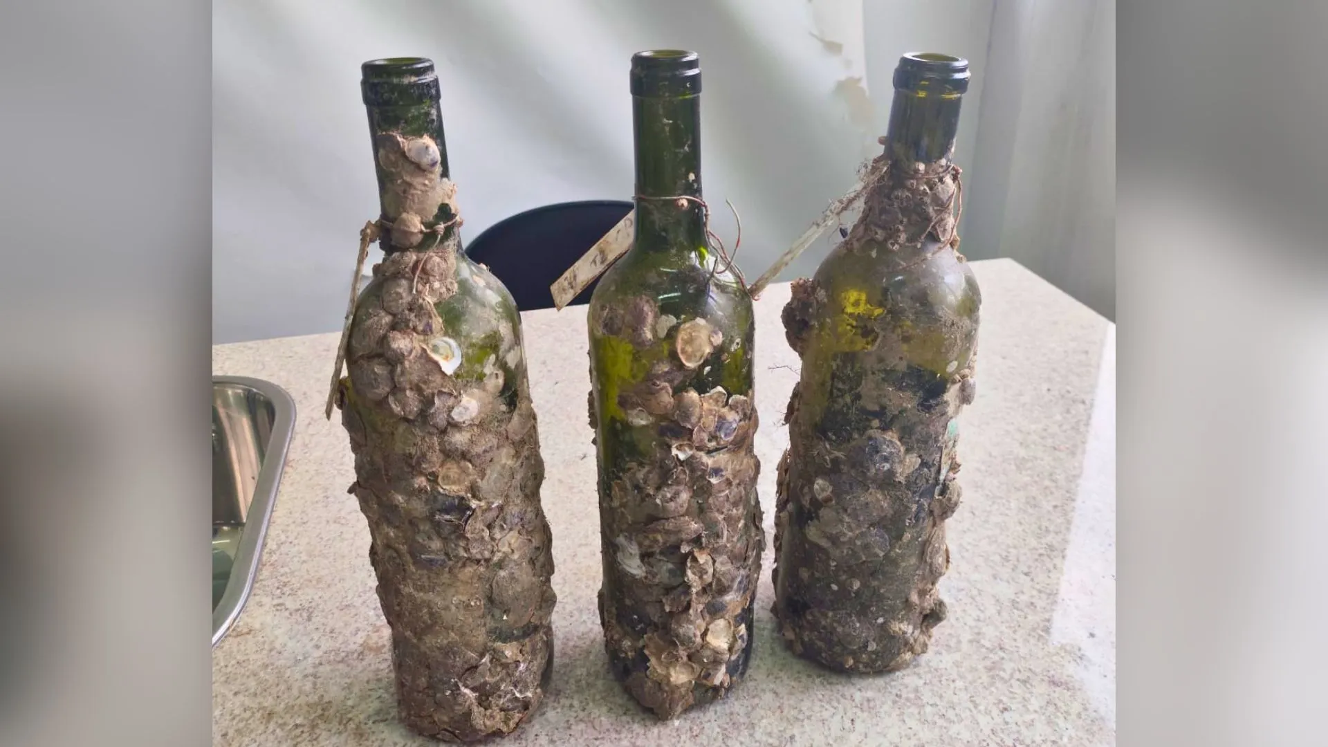 Epagri de Videira realiza degustação técnica de vinhos envelhecidos no fundo do mar