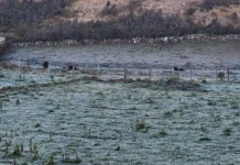Serra catarinense registra -9,1°C e amanhece coberta por geada Serra catarinense registra -9,1°C e amanhece coberta por geada