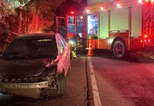 Árvore cai sobre carro e interdita SC-355, em Fraiburgo Árvore cai sobre carro e interdita SC-355, em Fraiburgo