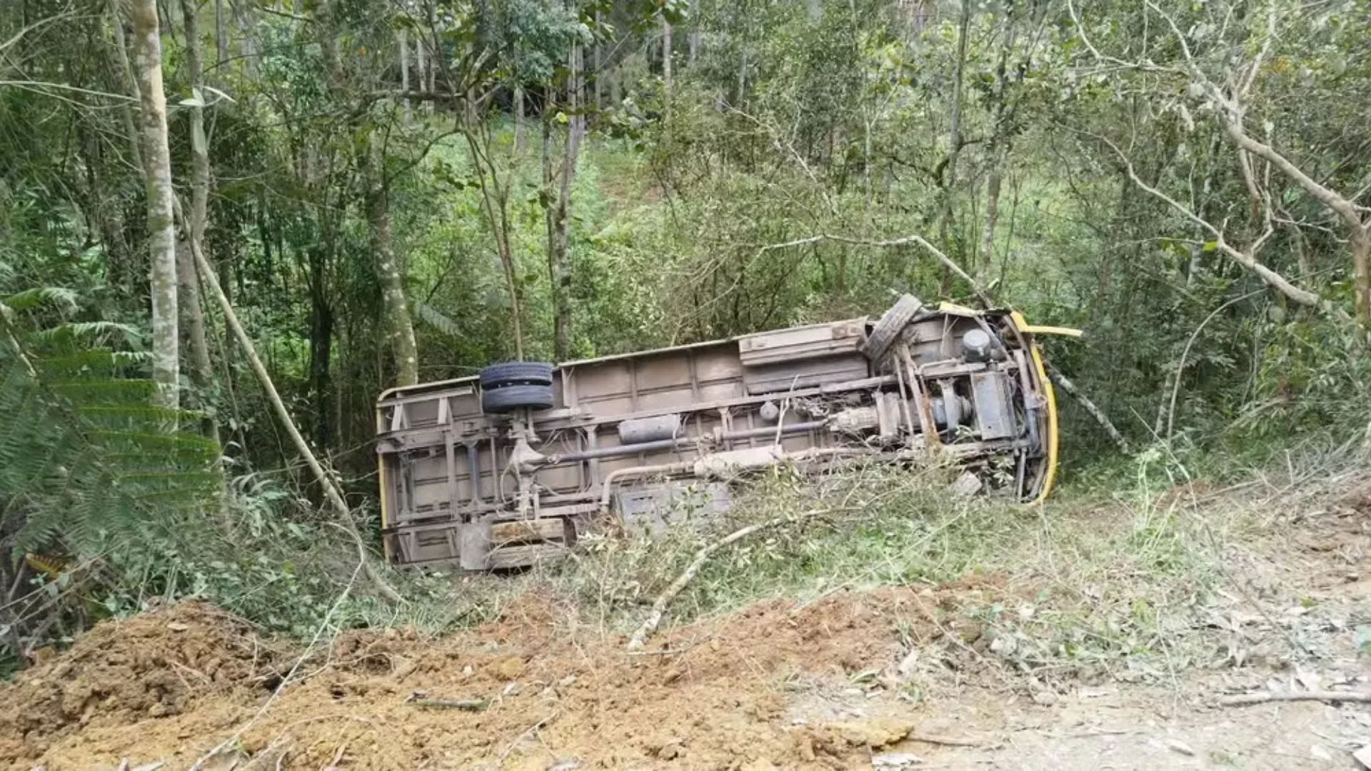 Ônibus escolar cai em ribanceira de 10 metros em SC e deixa crianças feridas