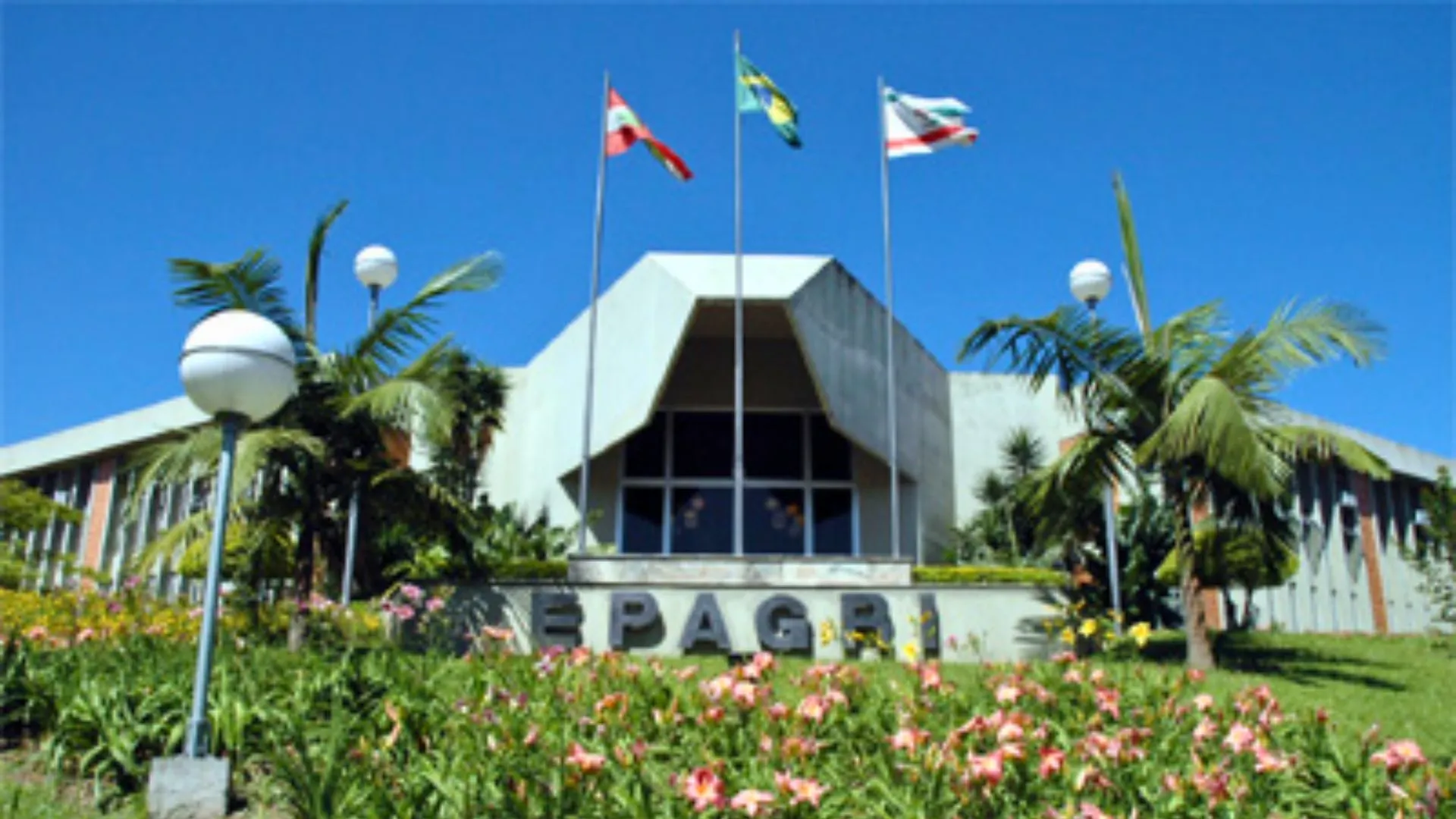 Epagri abre concurso com 40 vagas e salários de até R$ 16,9 mil em SC